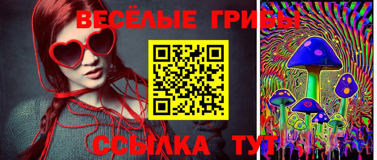 Кириши  Псилоцибиновые грибы Magic Shrooms  Вход с VPN  Псилоцибиновые грибы Magic Shrooms 
